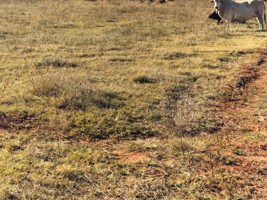 4 Bedroom Property for Sale in Vredefort Rural Free State